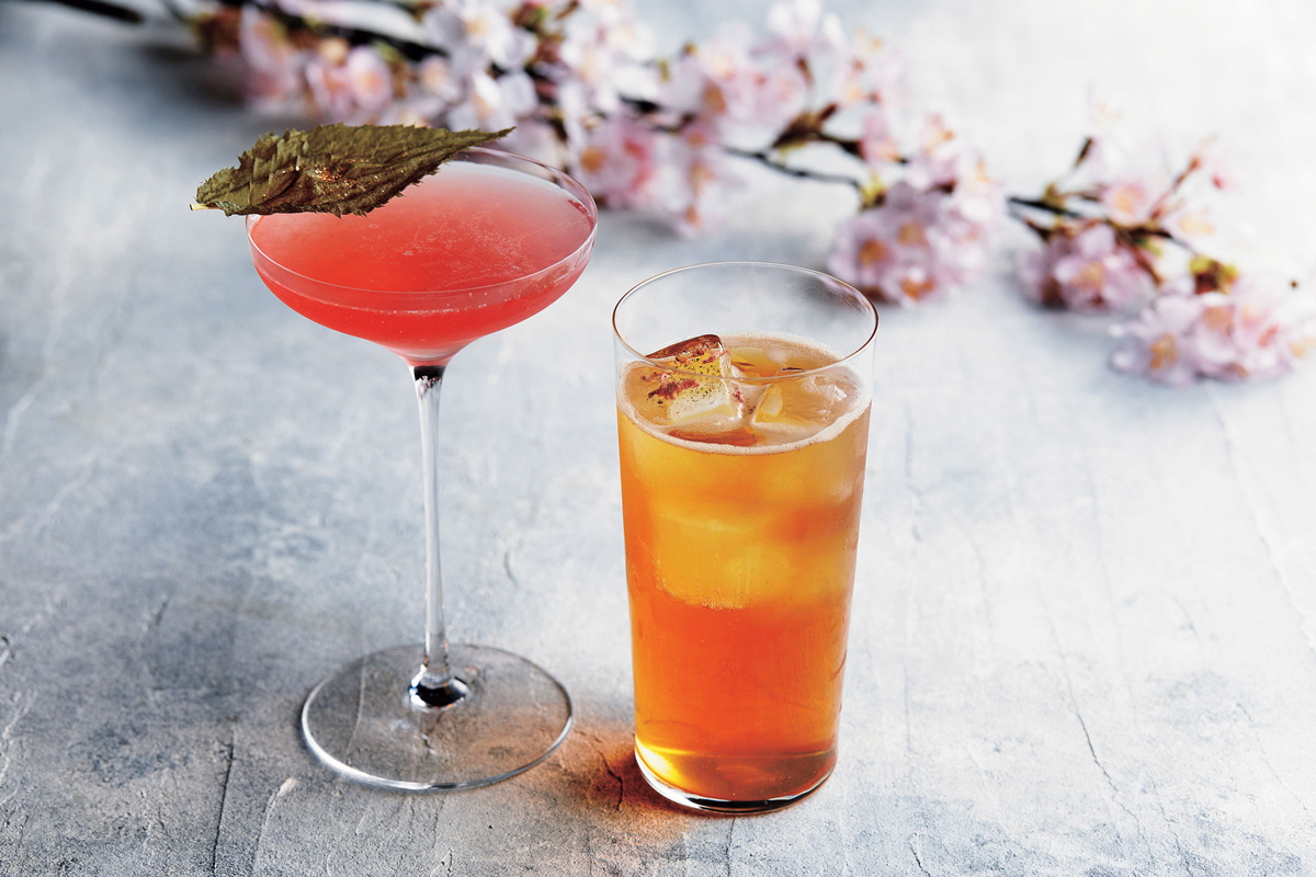 SAKURA COCKTAIL春ムードを盛り上げる桜をカクテルで嗜む。 | Gourmet